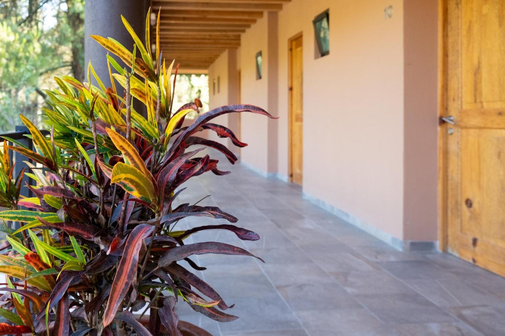 Zirahuen Forest And Resort Exterior photo