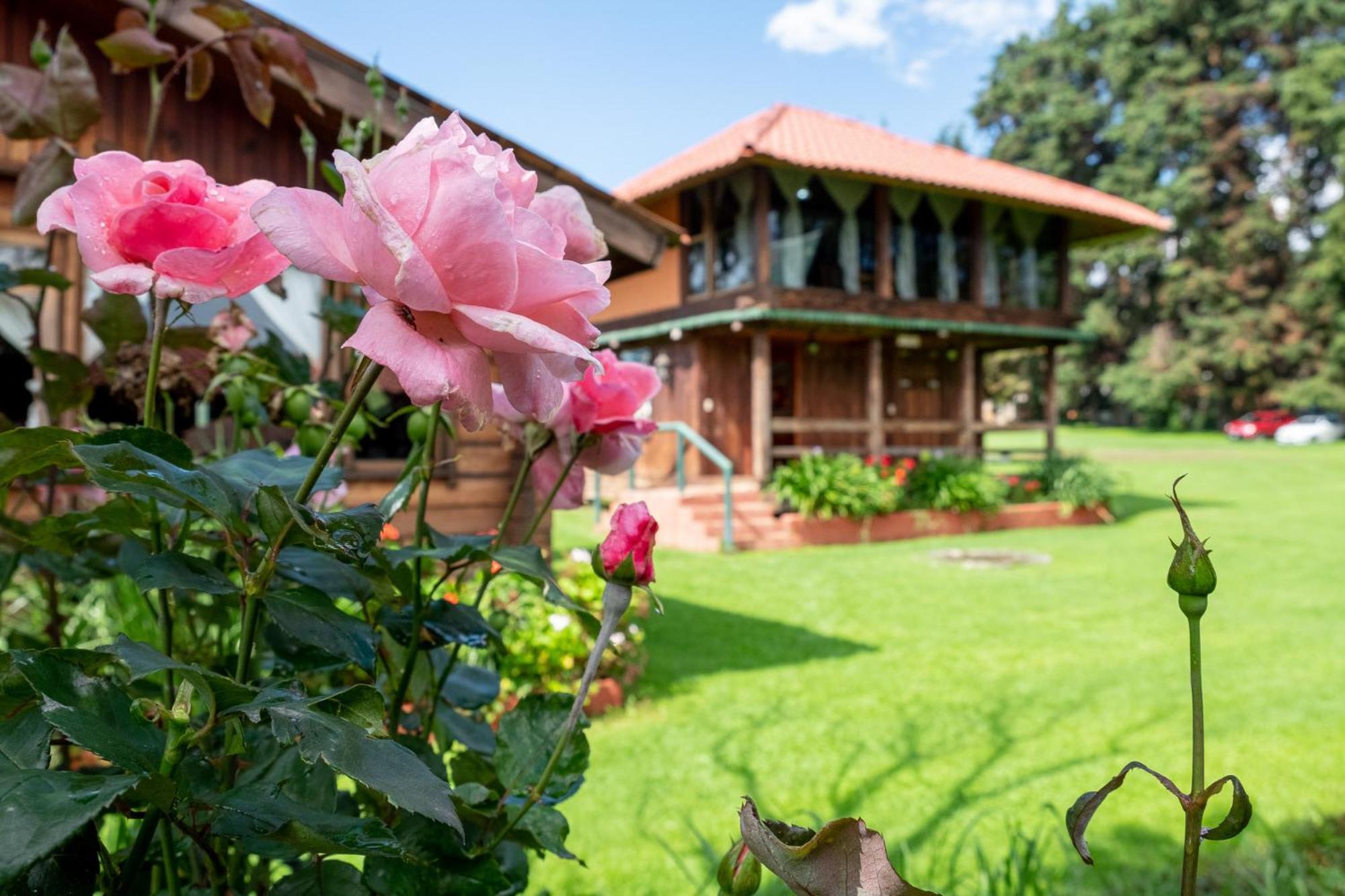 Zirahuen Forest And Resort Exterior photo